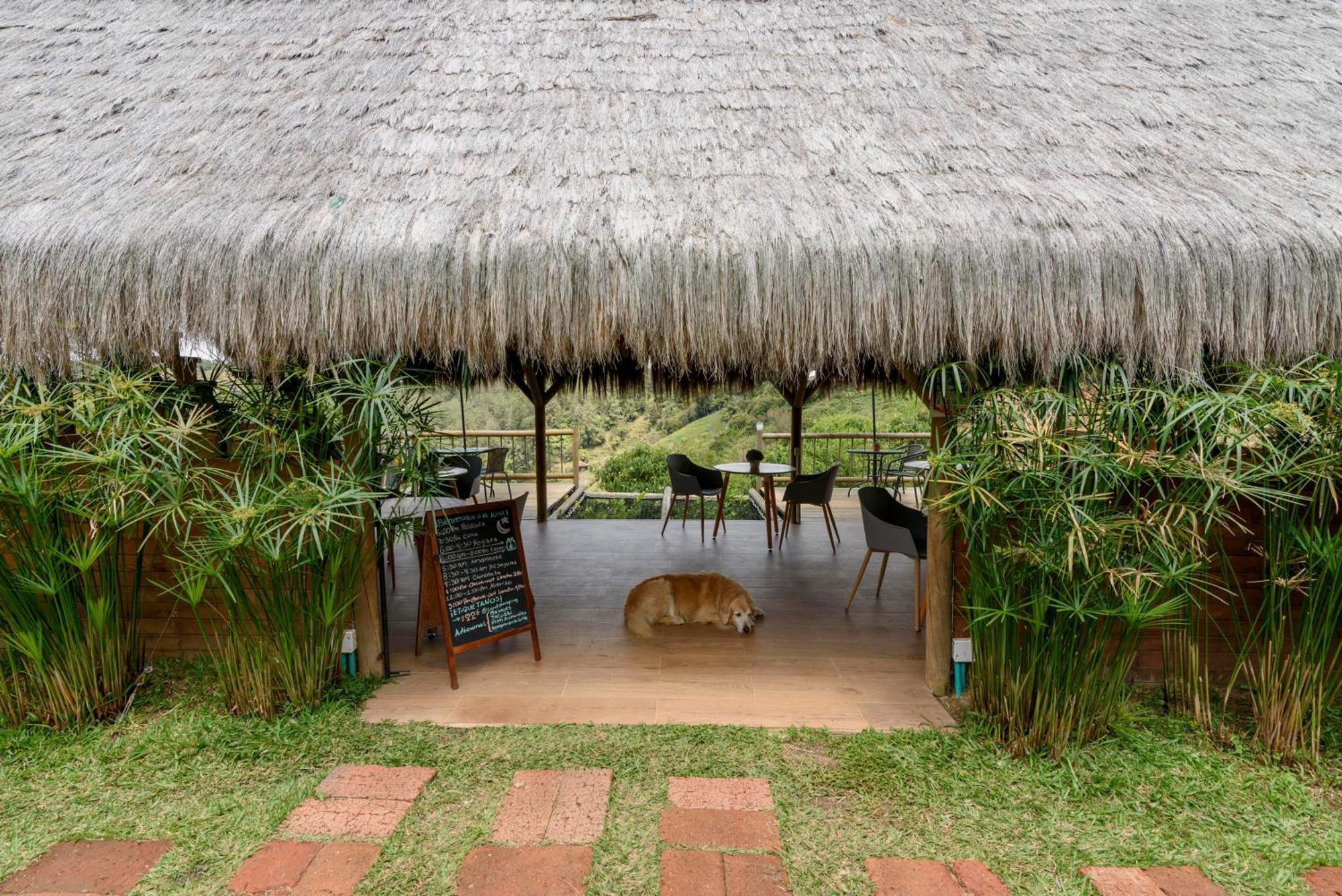 Levit Glamping - Hotel Guatapé ADULTS ONLY Bagian luar foto