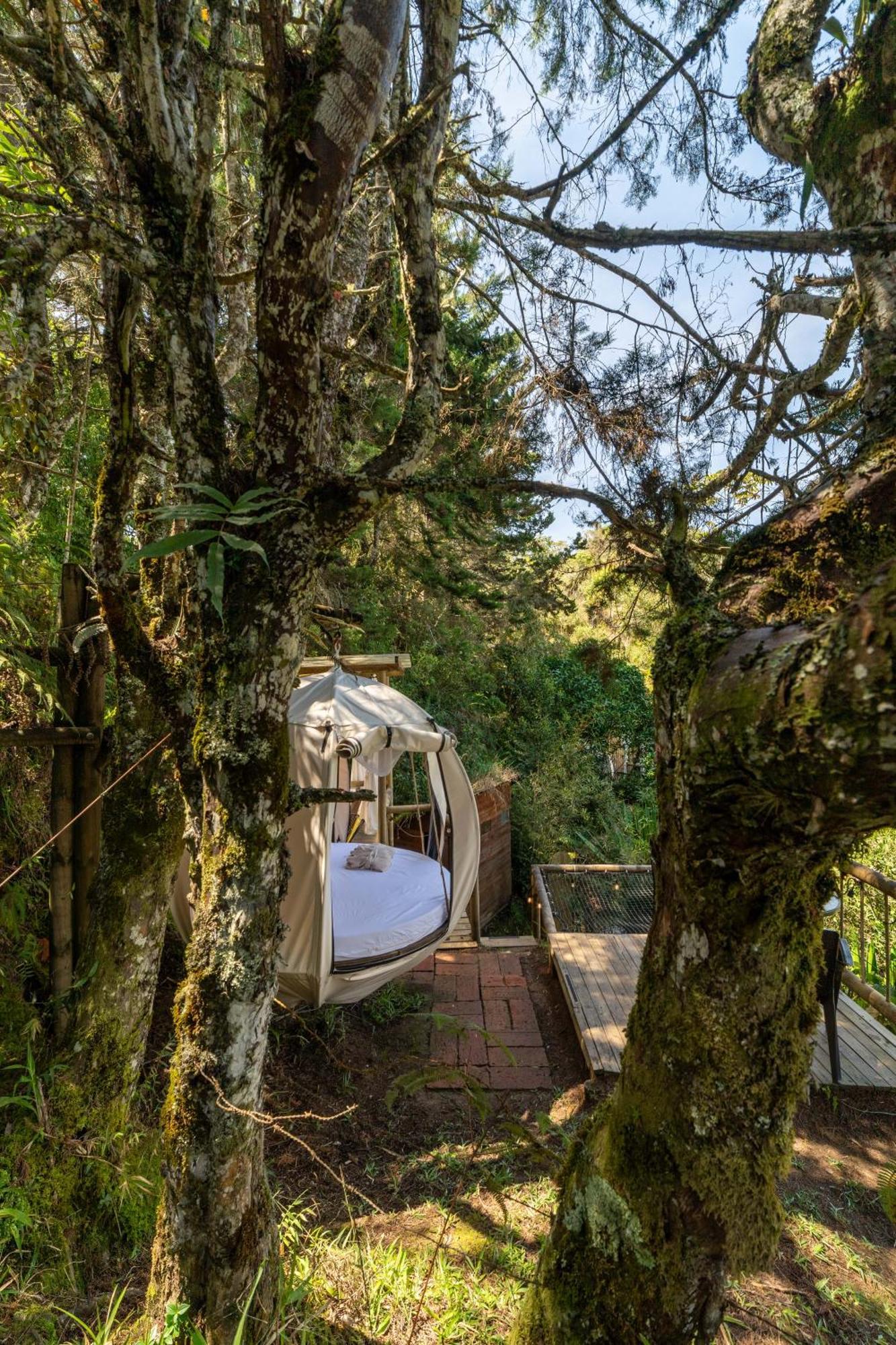 Levit Glamping - Hotel Guatapé ADULTS ONLY Bagian luar foto